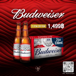 Budweiser 1 ถาด 24 ขวด ราคา 1,499 บาท จัดส่งฟรีทั่วประเทศ!